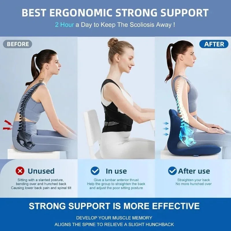 Comfort Posture Support Belt
